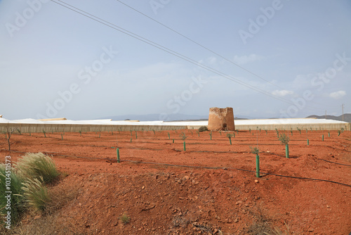 invernadero exterior con molino en ruinas tierra roja nueva plantación agricultura Almería   4M0A3106-as24
