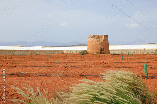 invernadero exterior con molino en ruinas tierra roja nueva plantación agricultura Almería   4M0A3102-as24