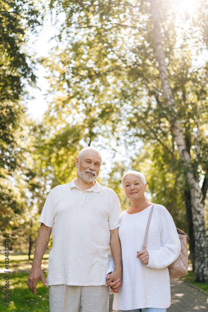 Vertical portrait of affectionate senior couple enjoying sunny day in green summer park, smiling looking at camera holding hands, embodying love and happiness in retirement. Concept of retirement life Vertical portrait of affectionate senior couple enjoying sunny day in green summer park, smiling looking at camera holding hands, embodying love and happiness in retirement. Concept of retirement life