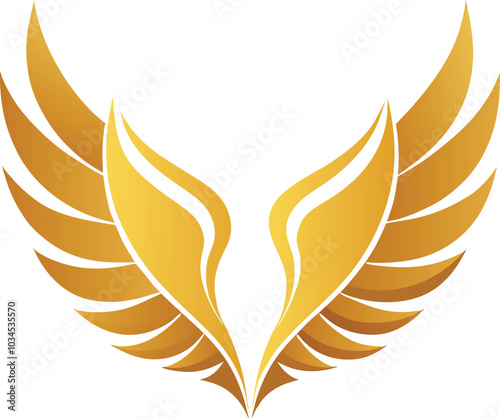 golden wings vector illustration 