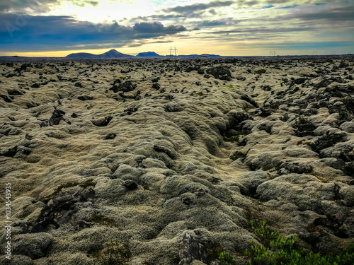 Unreal Icelandic moss fields, landscape photo