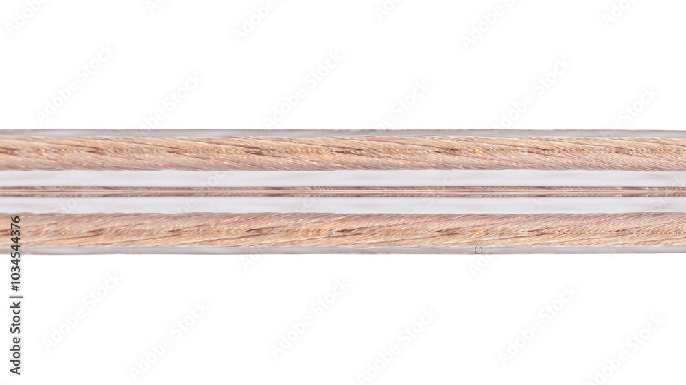 Close Up of Transparent Speaker Wire with Copper Strands
