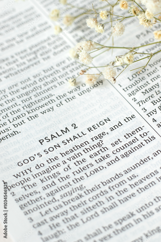 Obraz premium Psalm 2 in open holy bible book, God's Son shall reign. Close-up. Christian biblical concept of Jesus Christ's kingdom, salvation, and righteous government.