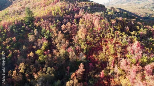 4k Aerial Autumn views of Snowbasin Huntsville Utah Fall Mountains