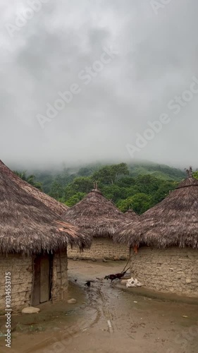 Gallinas entre chozas en pueblo indígena Kogui de la Sierra Nevada de Colombia