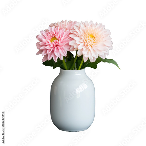 Wallpaper Mural Elegant pink and white dahlias in a simple white vase Torontodigital.ca