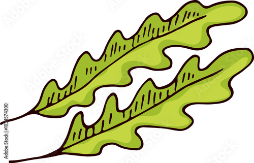 Rucola doodle. Salad organic leaves. Arugula drawing