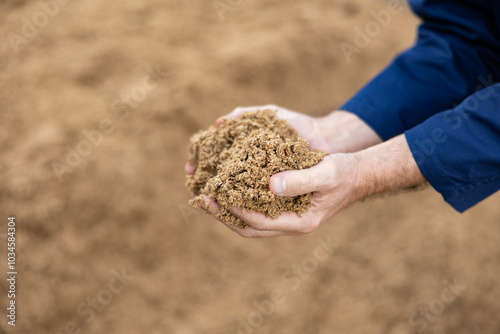 Billede på lærred Hands of farmer holding handful of brewer's spent grain, animal feed