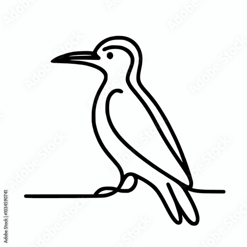 Woodpecker single continuous line vector silhouette illustration  photo