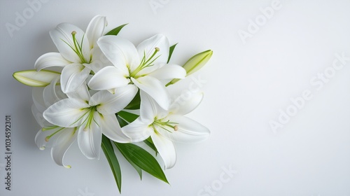 Delicate white lilies in full bloom, arranged elegantly on a clean white background, showcasing soft petal textures and gentle lighting, viewed from above