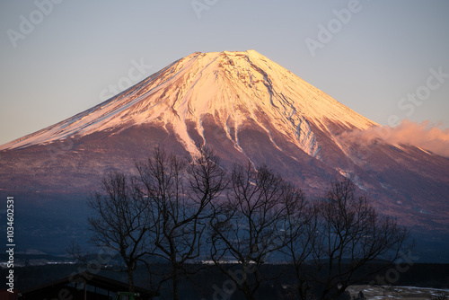 夕富士と木々