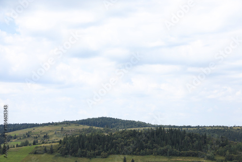 Beautiful view of forest in mountains under blue sky