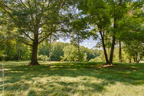 Expansive Lush Green Park With Trees And Open Sky.