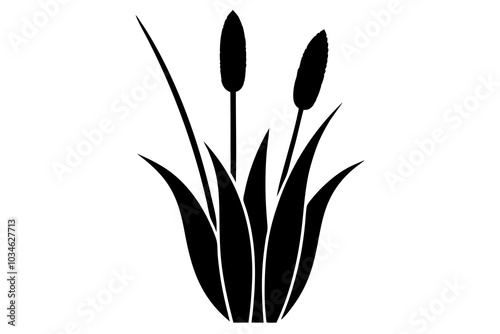 cattail  symbol silhouette illustration