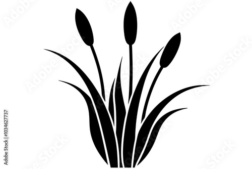 cattail  symbol silhouette illustration