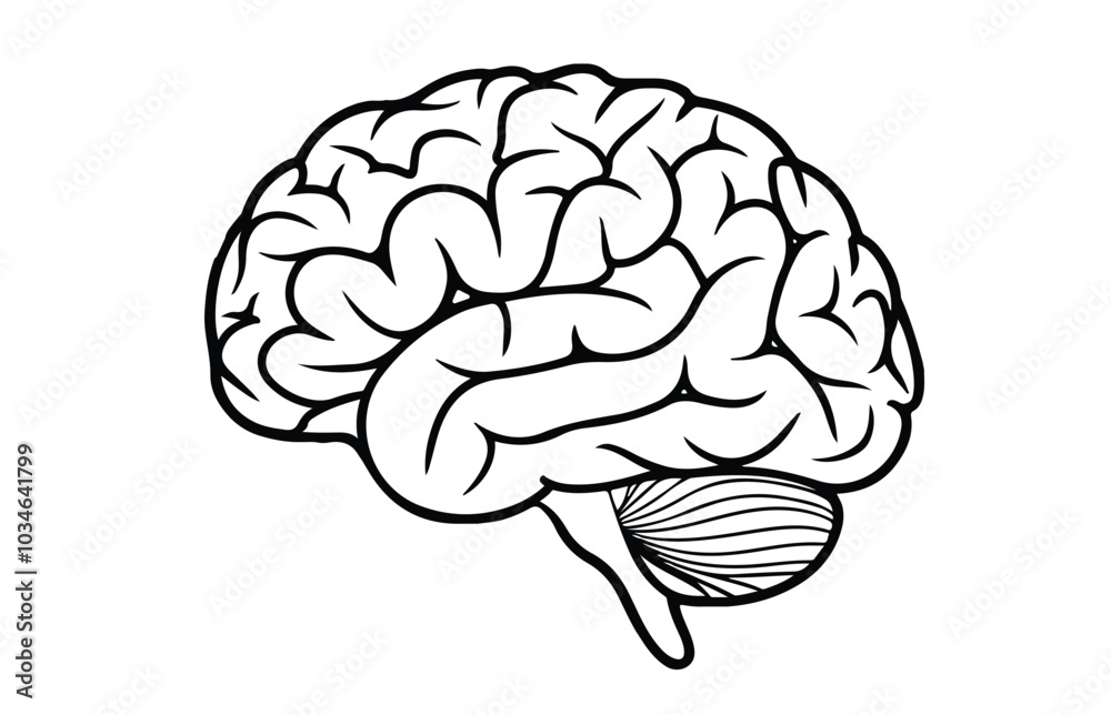 Human brain medical vector icon illustration isolated on white background Human brain medical vector icon illustration isolated on white background