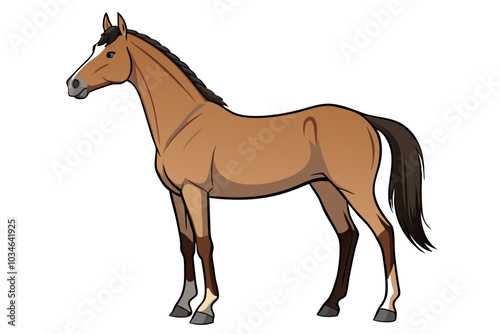 purebred actual teke horse vector art illustration