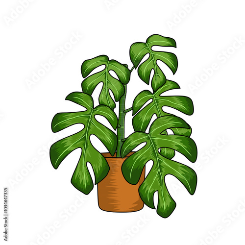illustration of a monstera plant that can be used as a template