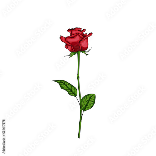 An attractive flower illustration of a rose is used as a template