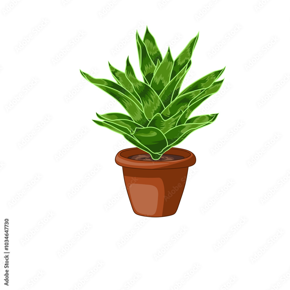 An illustration of the bromeliad plant which is a good ornamental plant as a template An illustration of the bromeliad plant which is a good ornamental plant as a template