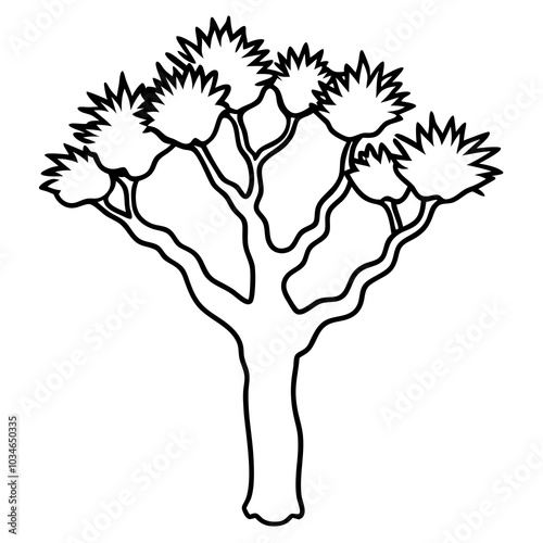 Joshua Tree line art
 vector art 
