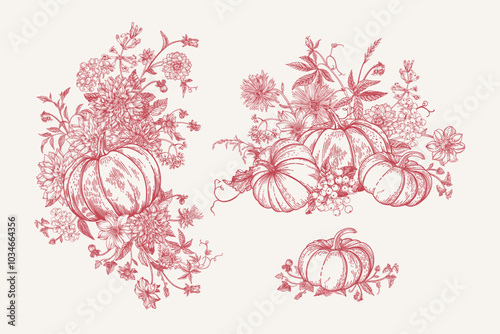 Set with pumpkins and flowers. Floral arrangements. Engraving style. Red.