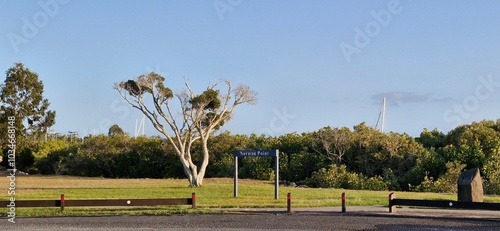 Εκτύπωση καμβά trees in the park