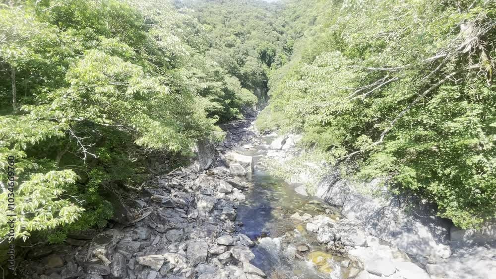 屋久島の風景 鹿児島県 日本 屋久島の風景 鹿児島県 日本