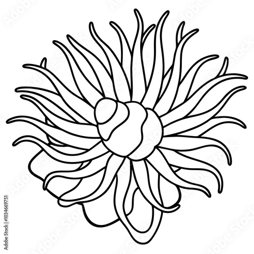 Green Sea Anemone vector illustration 