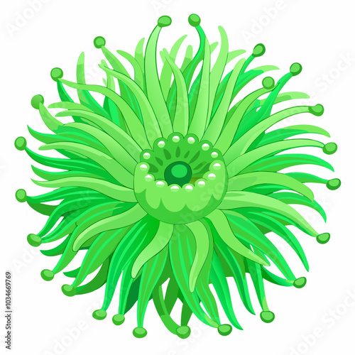 Green Sea Anemone vector illustration 