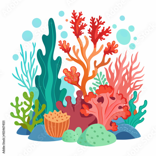  Coral reefs vector illustration on a white background