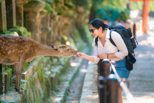 A smiling Latina tourist feeds a deer by the stone lanterns of Kasuga Taisha Shrine in Nara, Japan. She enjoys a peaceful moment, dressed casually with a backpack in the historic setting. photo