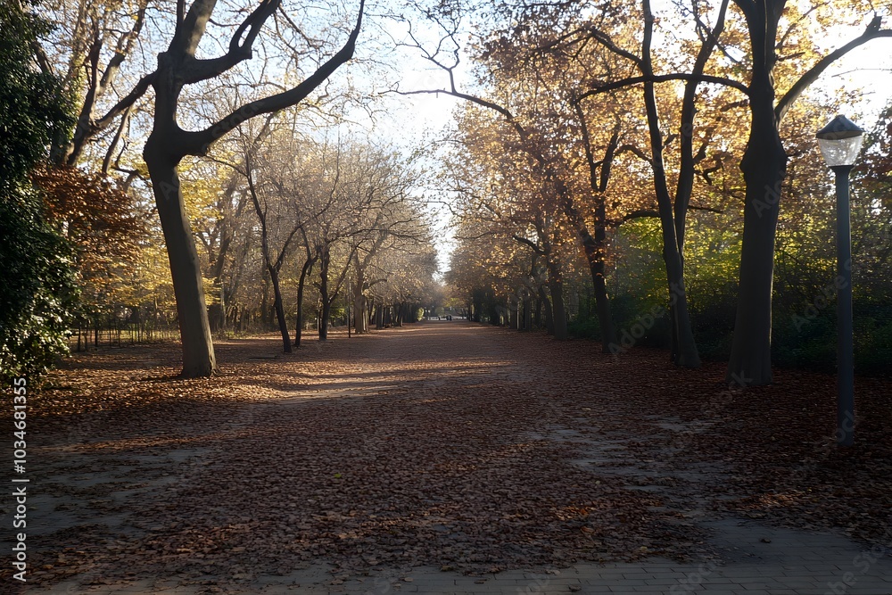 Naklejka premium Autumn Path Through Trees With Fallen Leaves