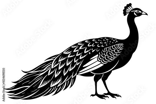 peahen  silhouette vector