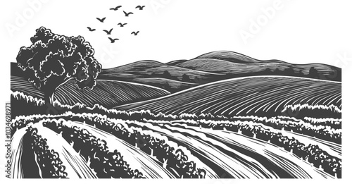 Scenic Rural Landscape with Fields and Mountains