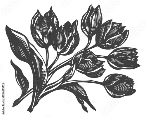 Elegant Black and White Floral Illustration of Tulips