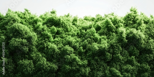 Lush green moss against a bright white backdrop, Vibrant moss texture on a light background