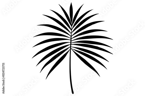 Palm tree leaf | isolated vector silhouette illustration on white background