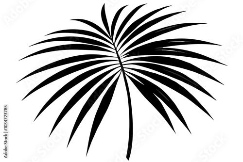 Palm tree leaf | isolated vector silhouette illustration on white background