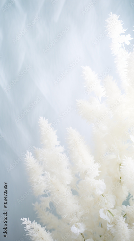 White astilbe blossoms display their feathery beauty against a gentle backdrop, highlighting the delicate nature of these enchanting flowers White astilbe blossoms display their feathery beauty against a gentle backdrop, highlighting the delicate nature of these enchanting flowers