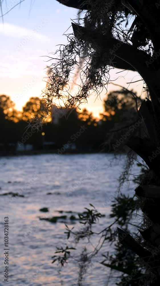 Sunset views over Byron Lake create a mesmerizing scene, with the golden light reflecting off the calm waters. The silhouette of trees and the soft colors in the sky bring out the peaceful, Sunset views over Byron Lake create a mesmerizing scene, with the golden light reflecting off the calm waters. The silhouette of trees and the soft colors in the sky bring out the peaceful,