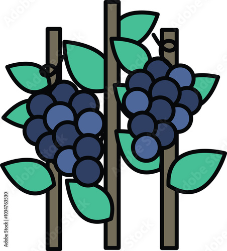 Two bunches of grapes are hanging from a vine