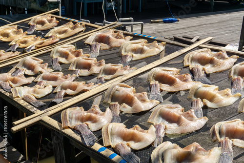 The process of making salted fish or dried fish from South Kalimantan, Indonesia, which is dried in the sun. photo