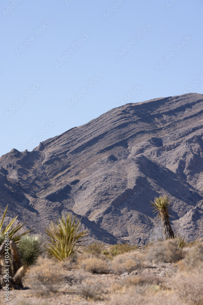Naklejka premium landscape in the desert