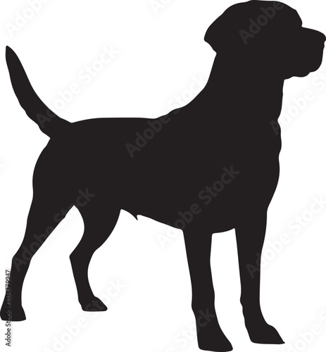 Minimalist Vector Silhouette of a Labrador Retriever in Black on a Crisp White Background