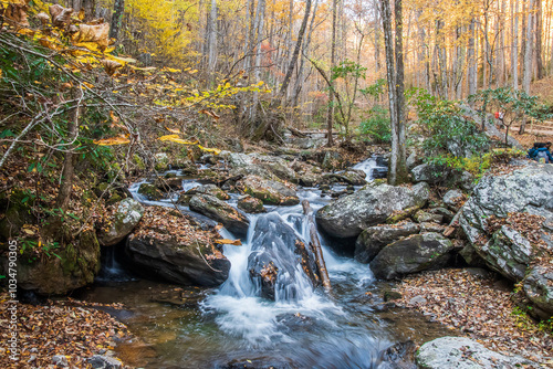 In a stream, you can see life’s ever-changing rhythm—sometimes calm, sometimes wild, but always moving forward, Anna Ruby Falls, Helen, Georgia, United States of America