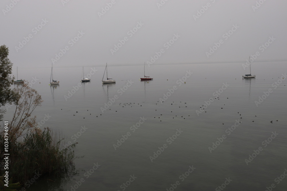 Morgenstimmung am Bodensee bei Konstanz im Nebel Morgennebel Morgenstimmung am Bodensee bei Konstanz im Nebel Morgennebel
