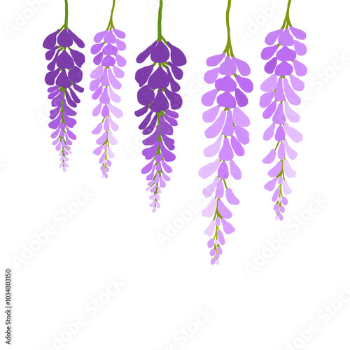Fototapeta Naklejka Na Ścianę i Meble -  Watercolor hand-drawn Wisteria flowers 