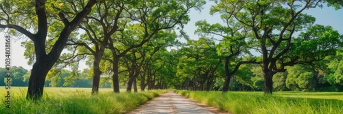 Vibrant Eco-Friendly Lush Green Trees