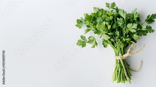 A bunch of fresh cilantro, white background, high-definition photography, close-up